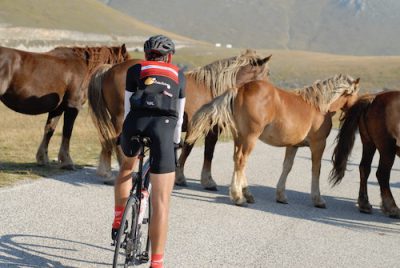 Fietsvakantie Strade Bianche