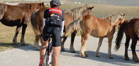 Fietsvakantie Strade Bianche